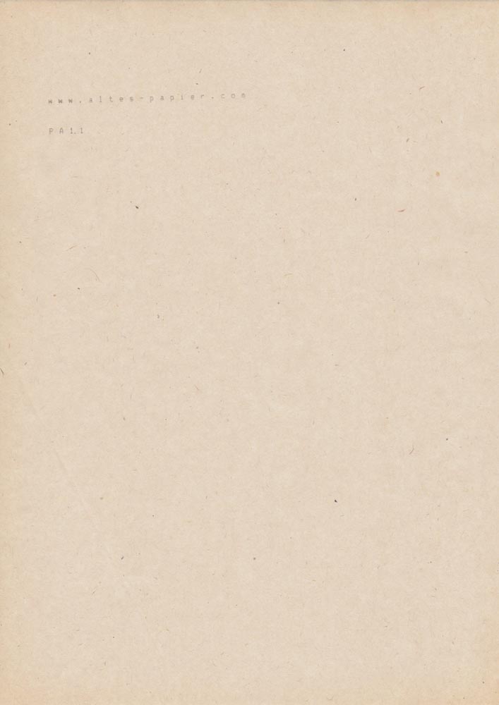 altes Durchschlagpapier A4 Blatt PA11b – Bild 2