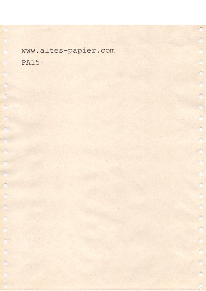altes vergilbtes Computerpapier Blatt PA15