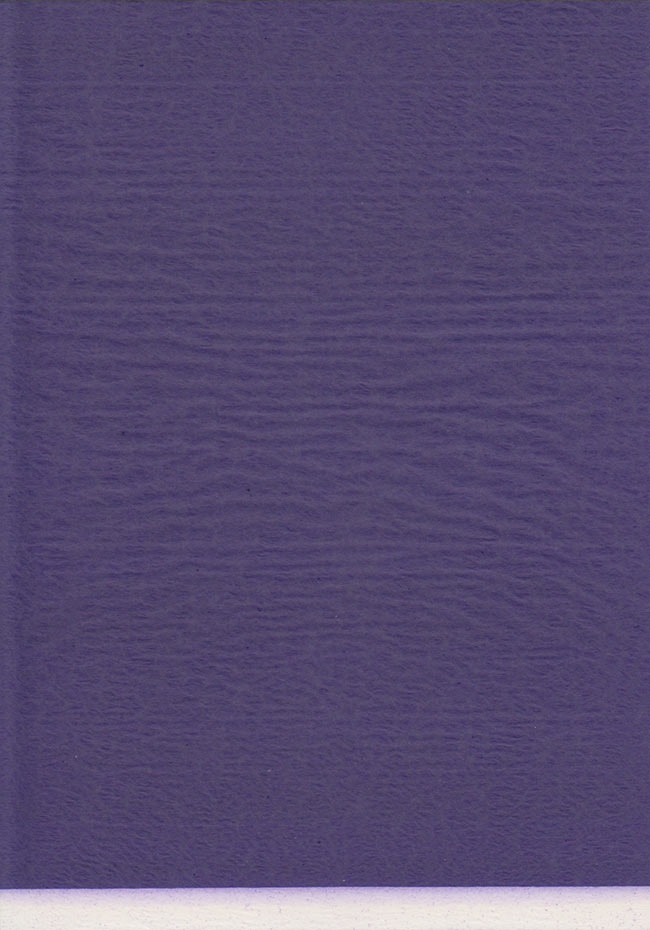 altes Durchschreibepapier violett SP01 Vorderseite